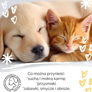 Zbiórka karmy dla zwierząt