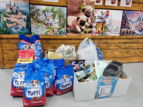 Zbiórka karmy dla zwierząt