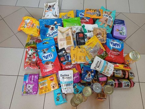 Zbiórka karmy dla zwierząt