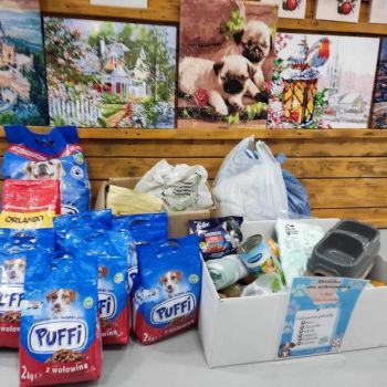 Zbiórka karmy dla zwierząt