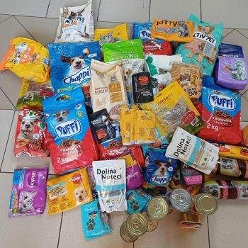 Zbiórka karmy dla zwierząt